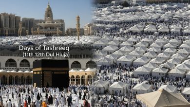 Découvrez le programme quotidien du pèlerin pendant le Hajj, incluant les activités des jours de Trawiya, Arafat et Tashreeq.