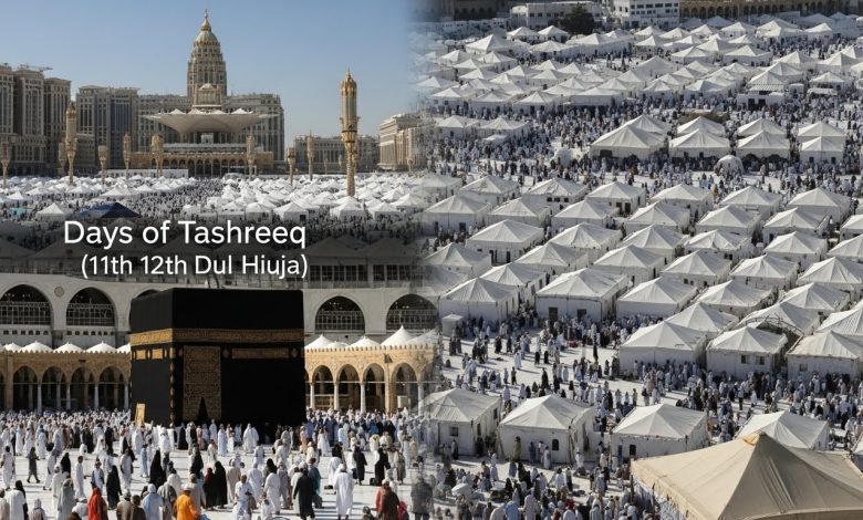 Découvrez le programme quotidien du pèlerin pendant le Hajj, incluant les activités des jours de Trawiya, Arafat et Tashreeq.